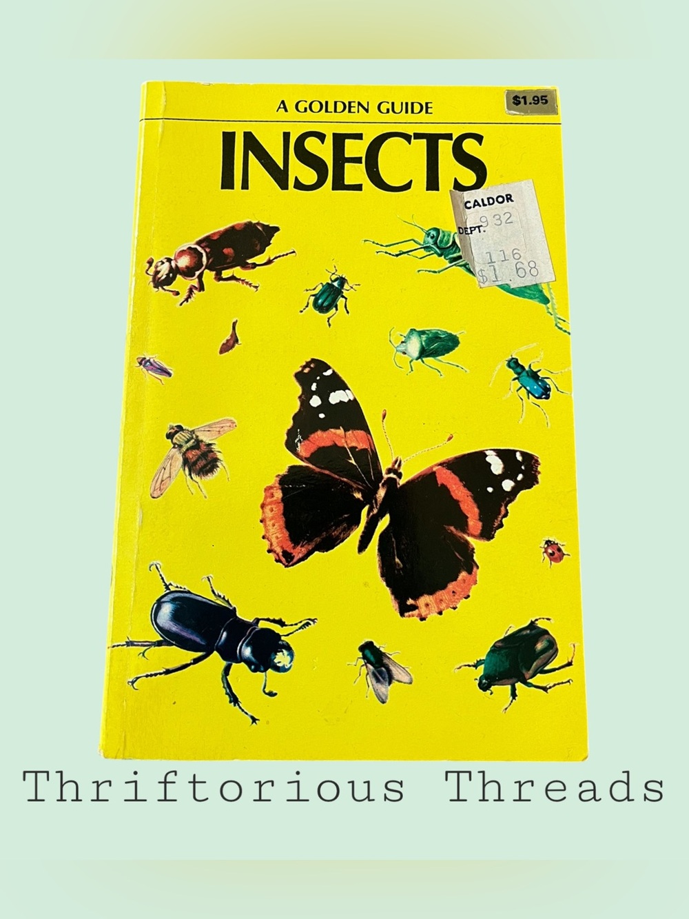 Vintage Golden Guide: Insects – Bright Yellow Illustrated Paperback